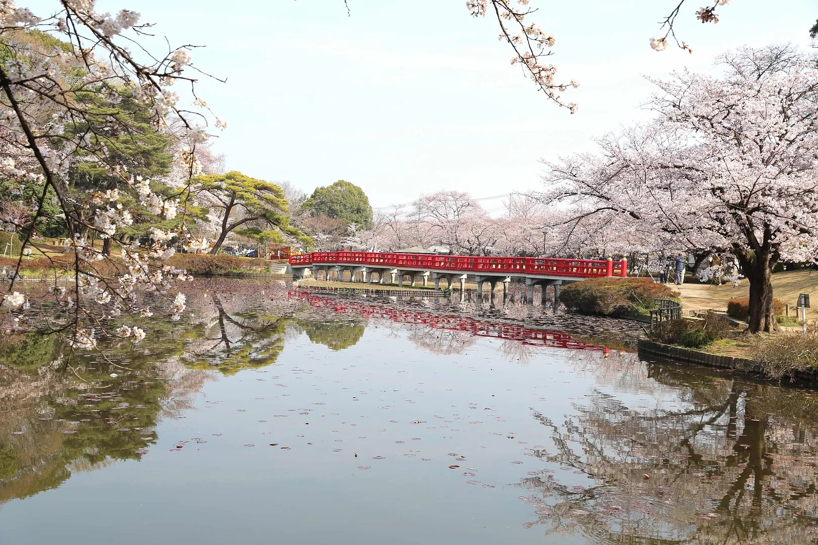 🏞️ 이와츠키 성터 공원 이미지 1